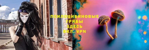 круглые Белокуриха
