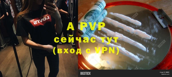 круглые Белокуриха