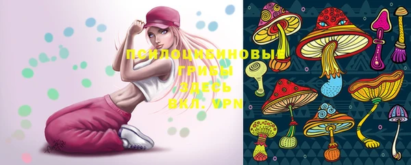 круглые Белокуриха
