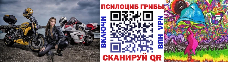 Псилоцибиновые грибы прущие грибы  Сосновка 